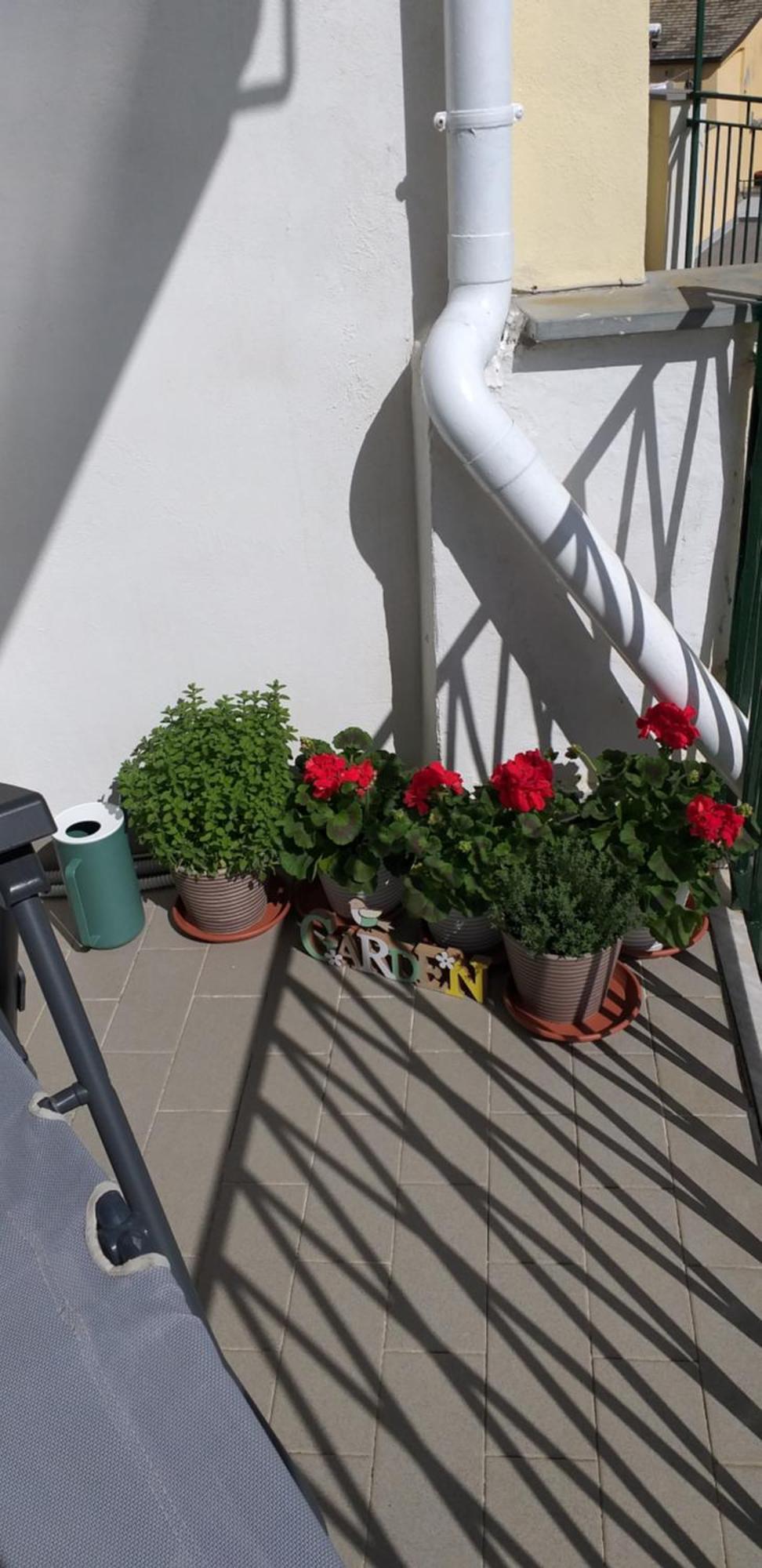 Aa Ciasea Duu Pintuu Διαμέρισμα Ριοματζόρε Εξωτερικό φωτογραφία